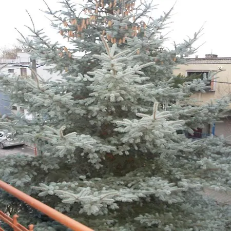 2c Mieszkanie Normalne Dwupokojowe Klimatyzacja Apartment